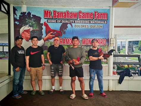 Home of Quality breeding materials Mt. banahaw Gamefarm .